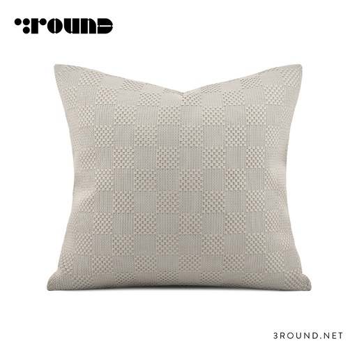 Leather Square Cushion FZ433